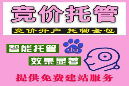 百度推广效果监测与持续优化的真实案例